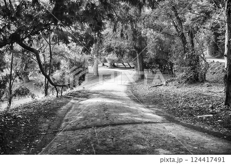 Serene park pathway surrounded by verdant nature 124417491