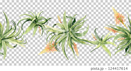 Seamless border of aloe vera plants with blooming orange flowers Seamless border of aloe vera plants with blooming orange flowers 124417614
