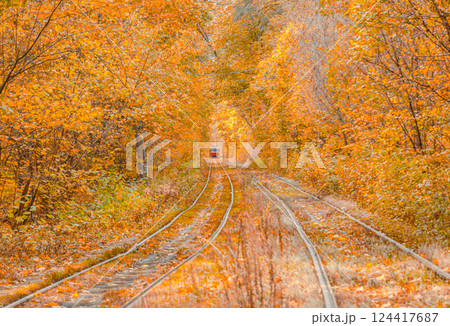 Autumn forest through which the tram travels, Kyiv and rails 124417687