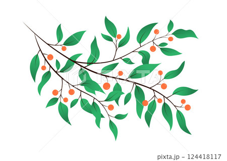 Berries and leaves branch isolated vector clipart illustration. Twigs on white background. Delicate botanical element for designs. Natural decorative foliage plant clipart 124418117