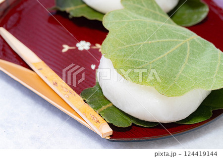 【食べ物素材】端午の節句のかしわ餅【物撮り】 【食べ物素材】端午の節句のかしわ餅【物撮り】 124419144