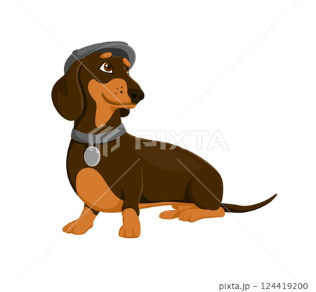 Cartoon stylish dachshund dog and puppy character wearing gray cap and collar with a tag. Isolated vector fashionable canine animal pet with its sleek brown coat and attentive expression exudes charm 124419200