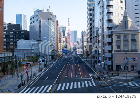 【札の辻】歩道橋から見る東京タワー 【札の辻】歩道橋から見る東京タワー 124419279