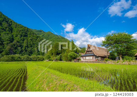 【世界遺産】初夏の五箇山・菅沼合掌造り集落【富山県】 124419303