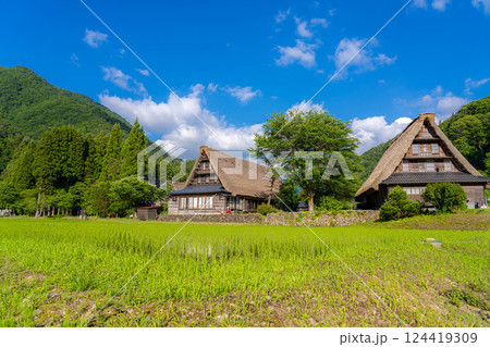 【世界遺産】初夏の五箇山・菅沼合掌造り集落【富山県】 124419309