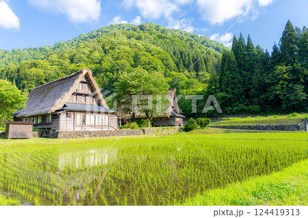 【世界遺産】初夏の五箇山・菅沼合掌造り集落【富山県】 【世界遺産】初夏の五箇山・菅沼合掌造り集落【富山県】 124419313