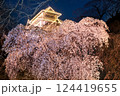 福岡城さくらまつり 124419655