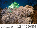 福岡城さくらまつり 124419656