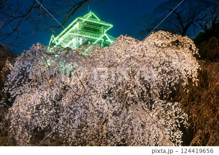 福岡城さくらまつり 福岡城さくらまつり 124419656