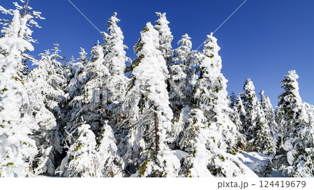 雪山の景色・絶景 124419679