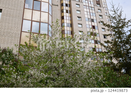 An Urban Dwelling Elegantly Surrounded by Beautifully Blooming Trees and Natures Growth An Urban Dwelling Elegantly Surrounded by Beautifully Blooming Trees and Natures Growth 124419873