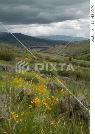 Stunning panoramic view of verdant hills with yellow flowers and majestic mountains 124420570