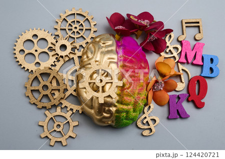 Left and right human brain. The right creative hemisphere and the left logical hemisphere. 124420721