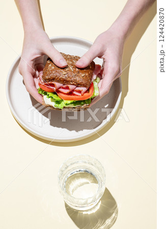 Hands holding fresh sandwich with ham, lettuce, and tomato on a plate. Hands holding fresh sandwich with ham, lettuce, and tomato on a plate. 124420870