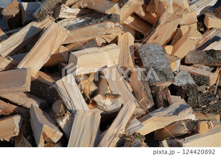 pile of split hardwood to heat homes during the winter 124420892