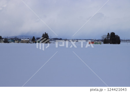 一面の銀世界の中力強く走る只見線キハ110系気動車(復刻色)_2025/2/23撮影 124421043
