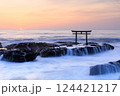 海に立つ鳥居 124421217