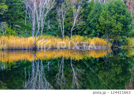 秋色の志賀高原琵琶池 秋色の志賀高原琵琶池 124421663