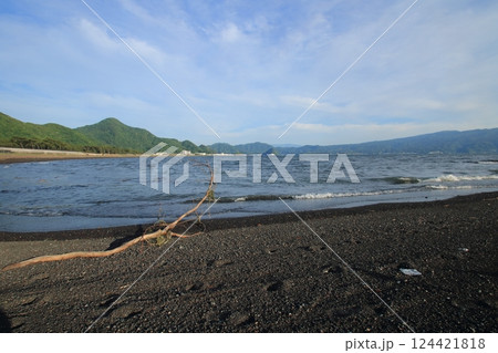 砂浜に打ち上げられた流木 砂浜に打ち上げられた流木 124421818