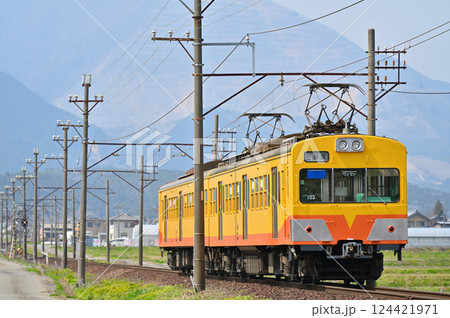 藤原岳に向かって走る三岐鉄道101系普通列車(元西武401系) 124421971