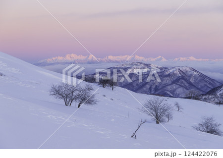 春の霧ケ峰高原車山湿原遊歩道から北アルプスビーナスベルトとモルゲンロート 春の霧ケ峰高原車山湿原遊歩道から北アルプスビーナスベルトとモルゲンロート 124422076