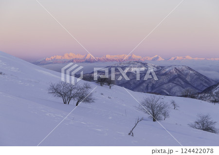 春の霧ケ峰高原車山湿原遊歩道から北アルプスビーナスベルトとモルゲンロート 124422078