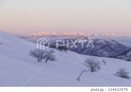 春の霧ケ峰高原車山湿原遊歩道から北アルプスビーナスベルトとモルゲンロート 124422079