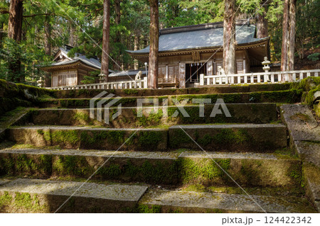 若桜神社の苔むした石段に降り注ぐ陽射しが美しい 若桜神社の苔むした石段に降り注ぐ陽射しが美しい 124422342