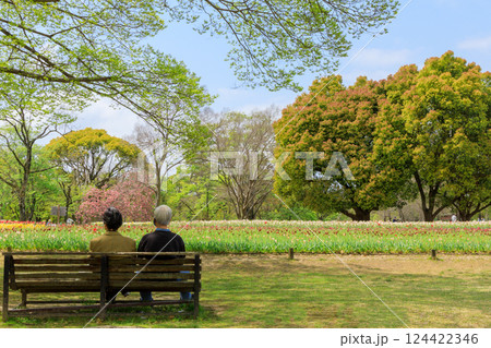 万博記念公園のチューリップ畑を穏やかに眺める風景 124422346