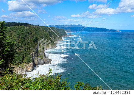 岩手県・鵜の巣断崖から望むリアス式海岸 岩手県・鵜の巣断崖から望むリアス式海岸 124422351