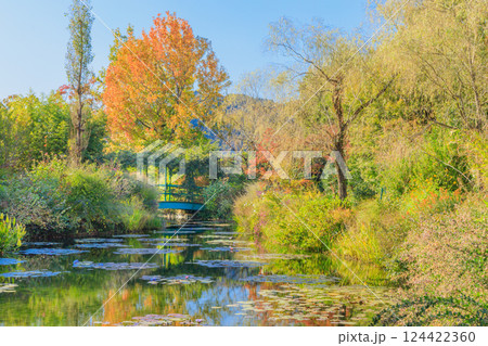 秋色に彩られたモネの庭の睡蓮 124422360