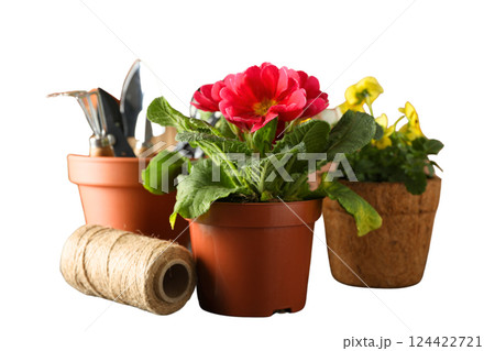 Gardening, Colorful flowers are placed in terracotta pots alongside gardening tools and twine, isolated on white, PNG 124422721
