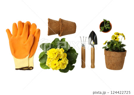 Gardening, Bright gardening gloves and tools beside blooming yellow flowers ready for planting, isolated on white, PNG Gardening, Bright gardening gloves and tools beside blooming yellow flowers ready for planting, isolated on white, PNG 124422725