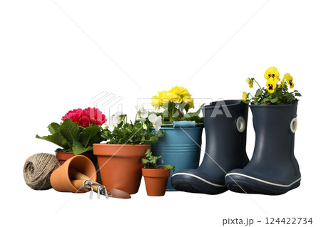 Gardening, Colorful potted flowers sit neatly beside garden tools and boots in a clean area, isolated on white, PNG 124422734