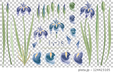 一組水彩鳶尾花 一組水彩鳶尾花 124423105