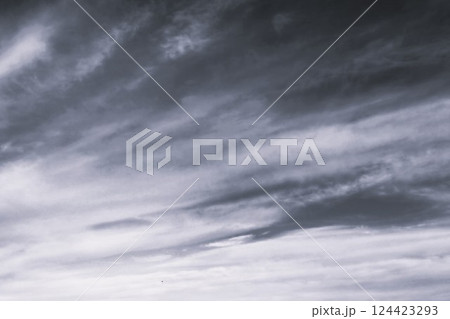 雲 124423293