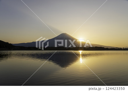 田貫湖の湖面に映る夜明けの富士山 124423350