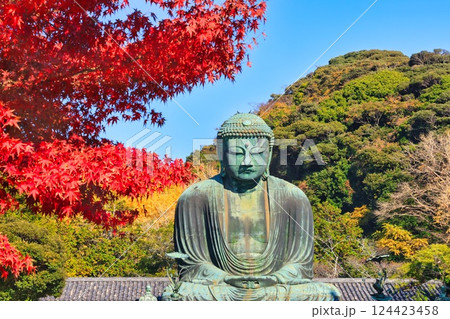 紅葉と大仏 紅葉と大仏 124423458