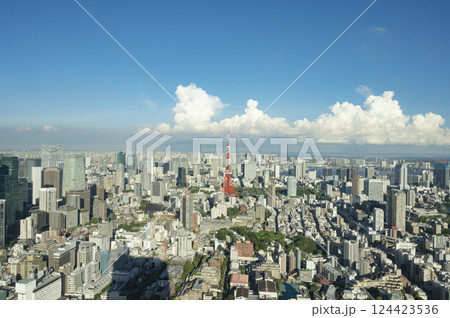 六本木ヒルズ森タワーから見る都心風景 六本木ヒルズ森タワーから見る都心風景 124423536