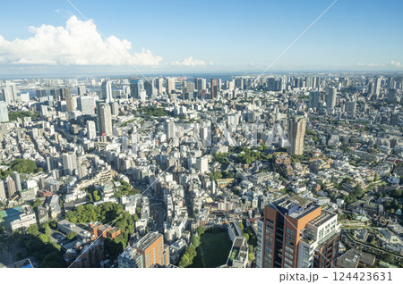 六本木ヒルズ森タワーから見る都心風景 124423631