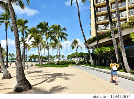 ハワイの休日 124423654