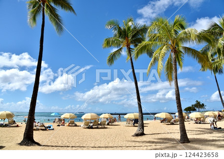 ハワイの休日 124423658