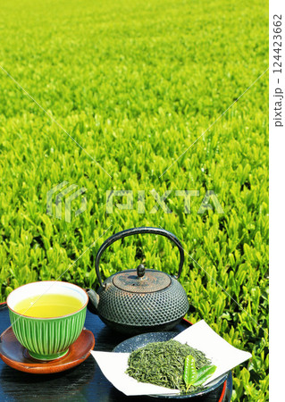 初夏の茶畑と新茶 初夏の茶畑と新茶 124423662
