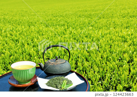 初夏の茶畑と新茶 124423663