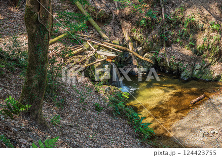 宇治の渓流もみじ谷 京都府宇治市 宇治の渓流もみじ谷 京都府宇治市 124423755