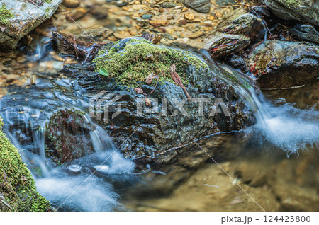 宇治の渓流もみじ谷　京都府宇治市 124423800