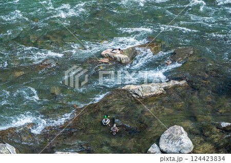 宇治川の鴨　マガモ 124423834