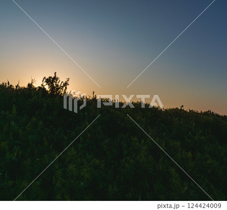 草地に朝日が昇る01 124424009