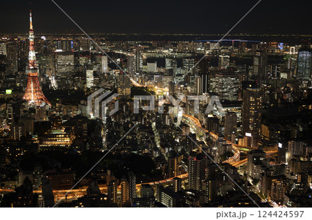 六本木ヒルズ森タワーから見る都心の夜景 六本木ヒルズ森タワーから見る都心の夜景 124424597