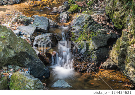 宇治の渓流 もみじ谷 京都府宇治市 宇治の渓流 もみじ谷 京都府宇治市 124424621